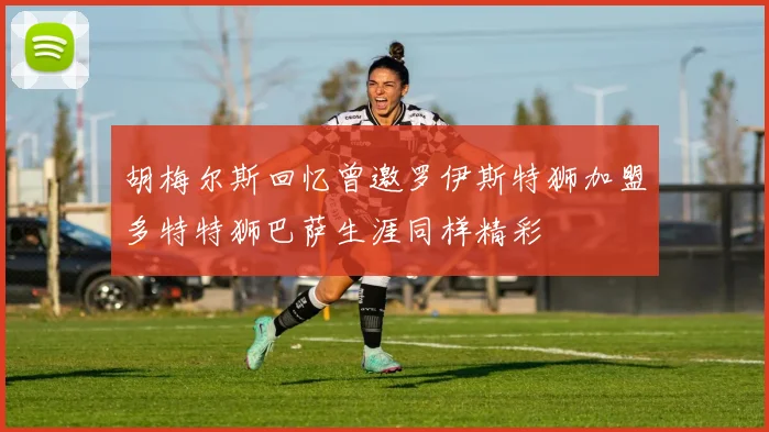 胡梅尔斯回忆曾邀罗伊斯特狮加盟多特特狮巴萨生涯同样精彩